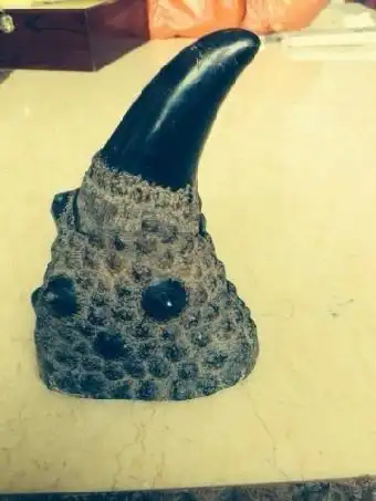 犀牛角价格一克多少