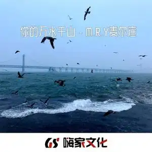 你的万水千山dj版