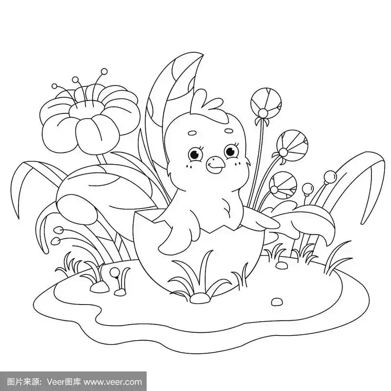 新生可爱小鸡-涂色页