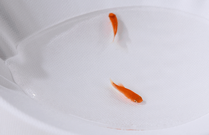 有氧气有鱼,一点也不漏水