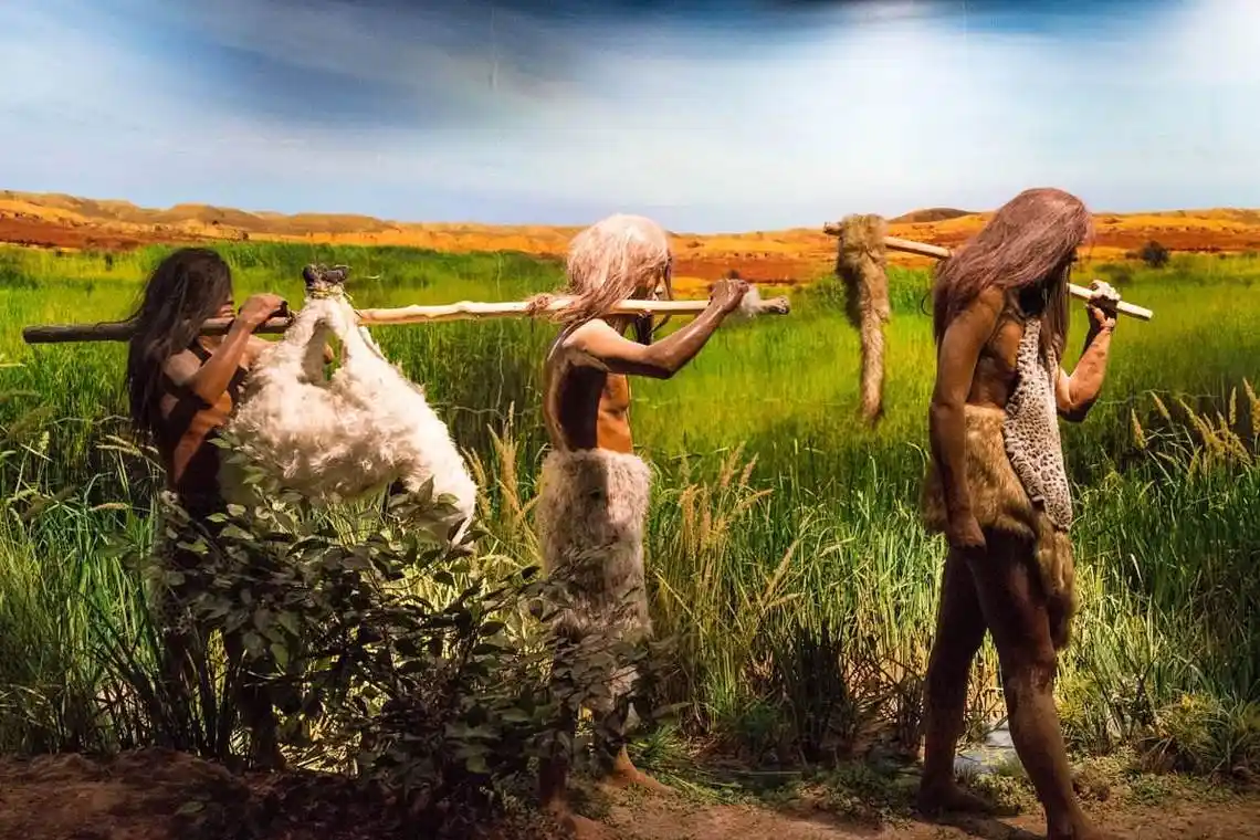 阴毛,腋毛和头发,人类在进化中为何保留了这几个部位的毛发?