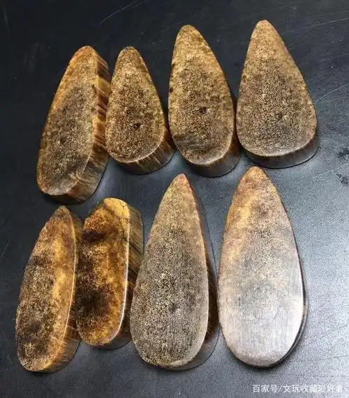 2021年老亚犀角值多少钱?哪里找到真实货源?