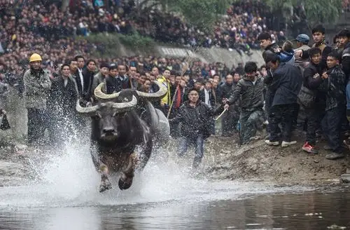 突围- 磨桂宾 - 图虫网 - 优质摄影师交流社区