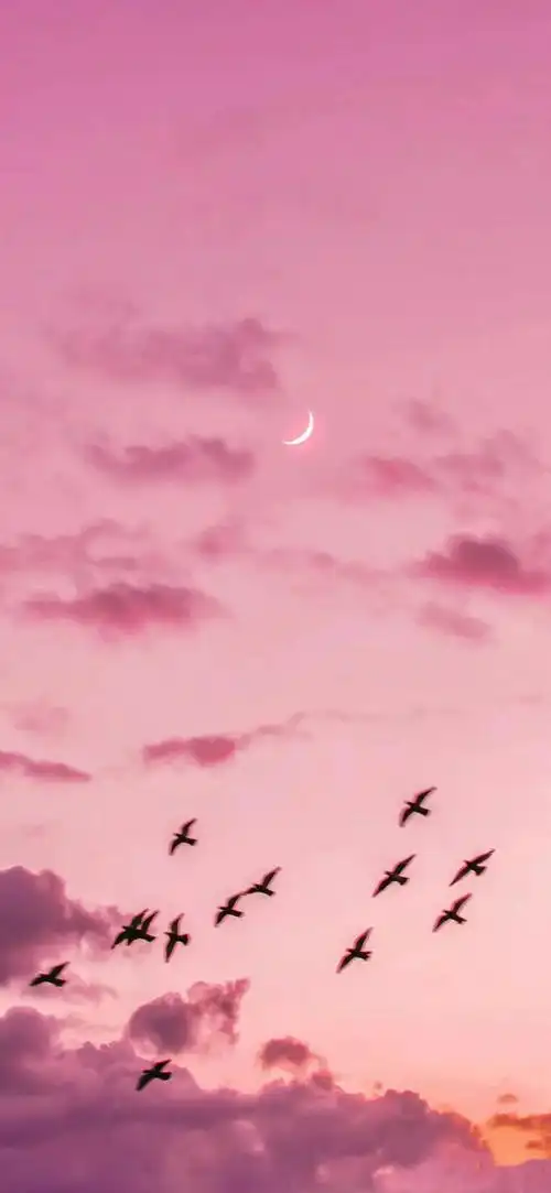 粉色天空 - 高清图片,堆糖,美图壁纸兴趣社区