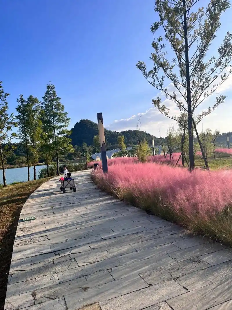 贵安新区月亮湖公园(3) 周末又去了一趟月亮湖溜娃,老规矩还是去了