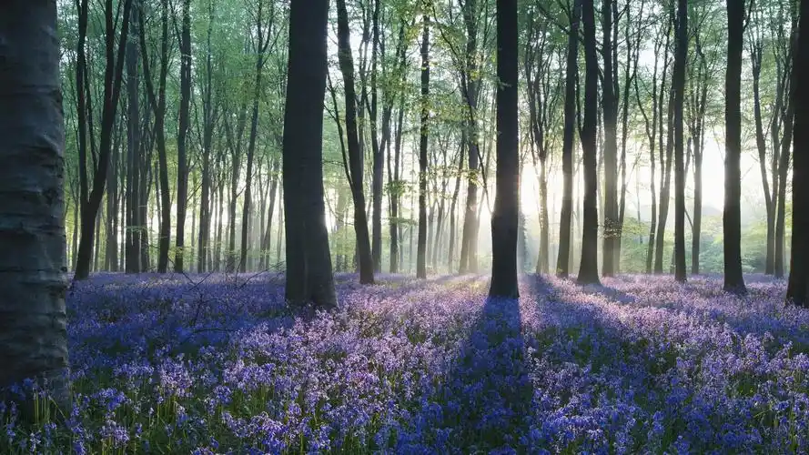 美丽的自然风光高清壁纸【5】-风景壁纸-壁纸下载-美桌网