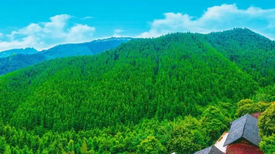 青山绿水围绕的义龙新区科汪古寨 资料图