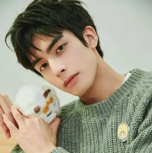 微信头像宋威龙