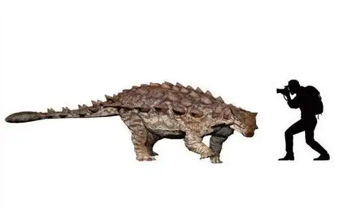 山东发现身上长满尖刺的新恐龙