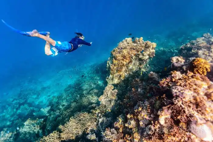 水下照片的一个年轻人浮潜自由潜水在珊瑚礁在热带海洋
