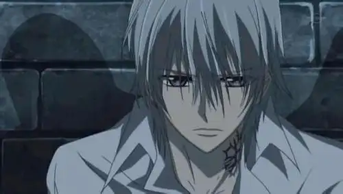 盘点动漫中那些吸血鬼帅哥,你最喜欢哪个呢!