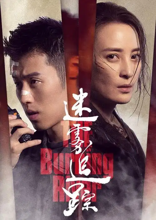 迷雾追踪电视剧/中国大陆/2020导演:余庆演员:蒋勤勤/周游/谭凯