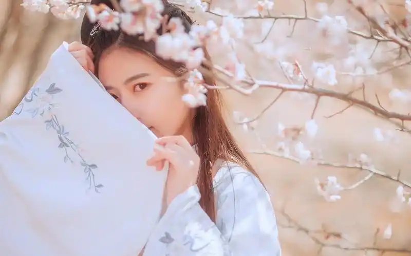 清新唯美古装美女写真桌面壁纸