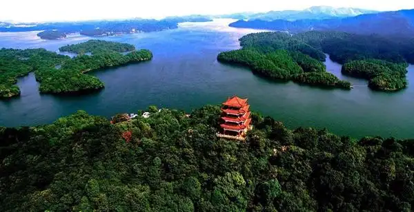 生态建设助推经济发展 绿水青山变成金山银山