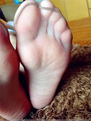 脚尖透明的丝袜 - hjzh008 - hjzh008 的博客