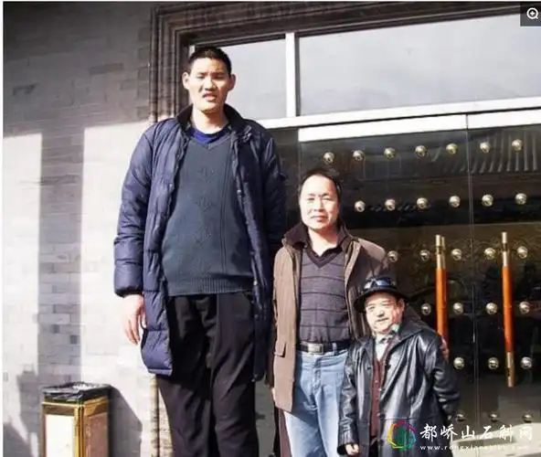 中国最高的人排名中国最高的人是谁身高多少