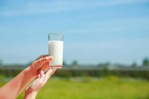 天然好营养,羊奶到底有哪些好处和优势,来看看喝奶专业户美小羚怎么说
