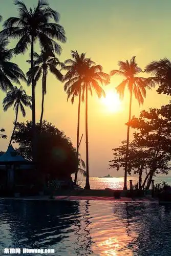 收藏 关键词:傍晚海边椰树落日美景高清图片图片下载,傍晚,海边风景