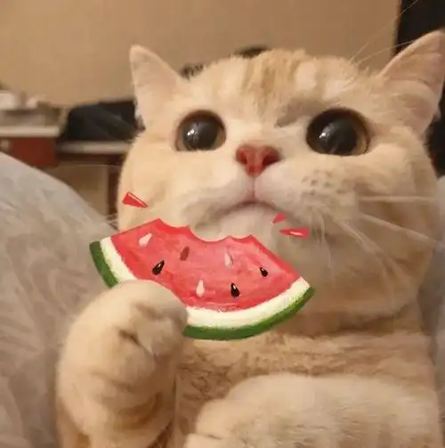 头像有趣的灵魂美丽的外表不要脸的我