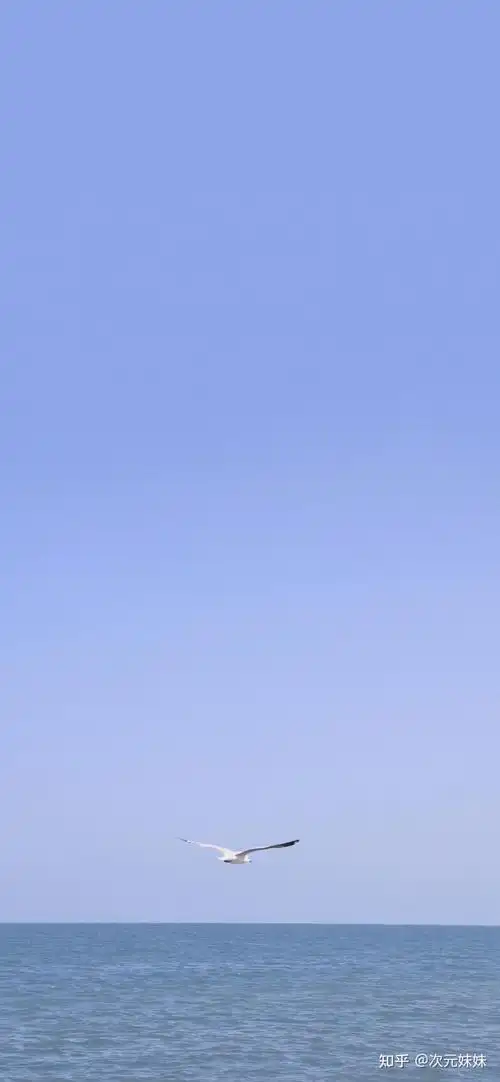 你最喜欢的手机壁纸什么样?