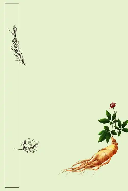 中草药宣传海报背景