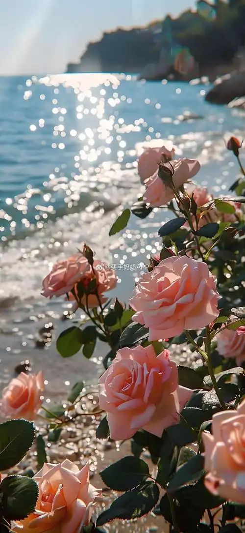 高清壁纸可爱壁纸锁屏壁纸ins壁纸##背景图朋友圈背景图表情包##女生