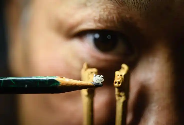 微雕作品"三只小猪"中的每只小猪长宽高均