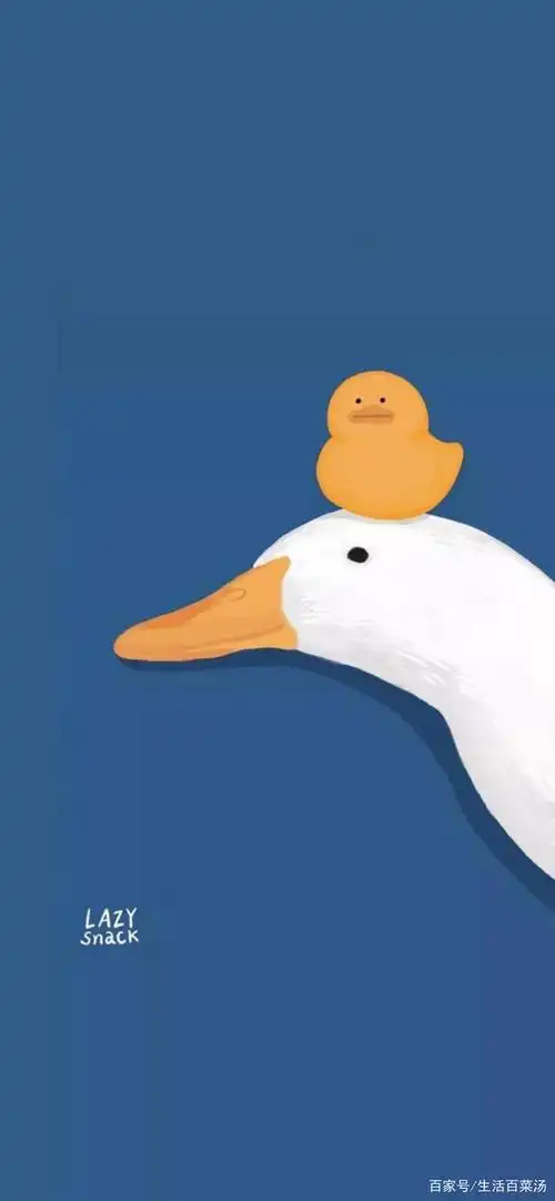 喵喵喵~抖音最新超火高清壁纸!