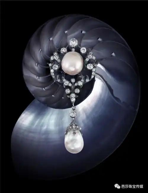 一颗珍珠价值过亿?还不是因为它的"野生"血统!