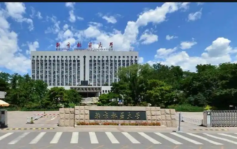 心理学考研-(主打咨询)北京林业大学最新考情 【含真题】 - 知乎