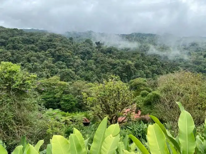 哥斯达黎加的景