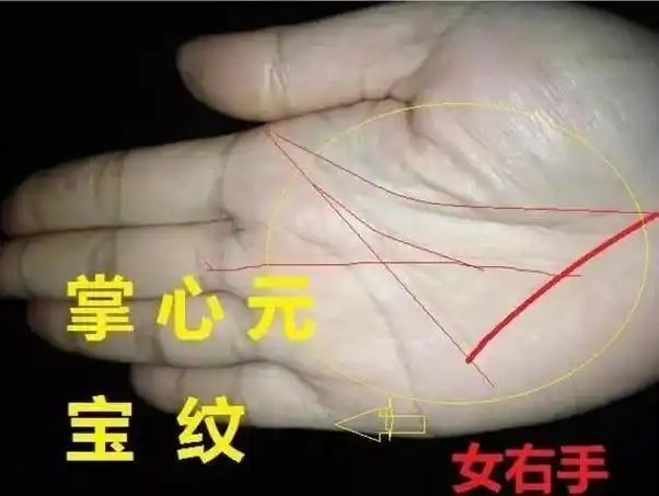 (李向东)手相中的财富纹,你知道吗?
