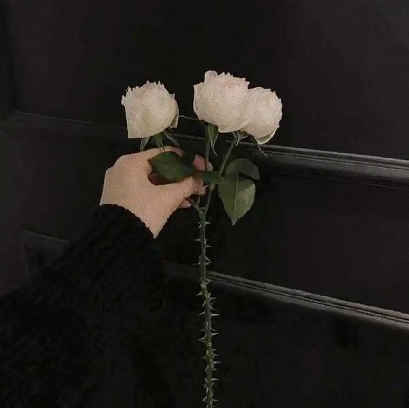 qq微信的背景图,个人比较喜欢的风_唯美图片_我要个性网