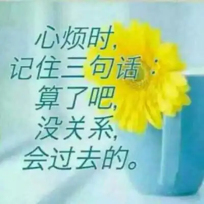 算了吧,没关系,会过去的