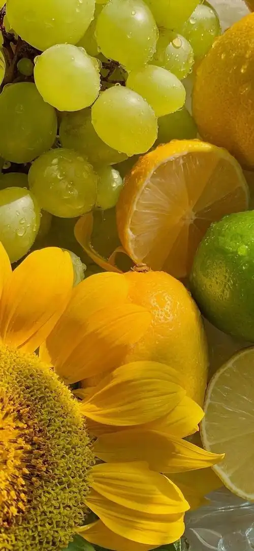 干净清爽的手机壁纸