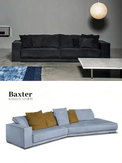 意大利baxter异型沙发03以宽大舒服出名