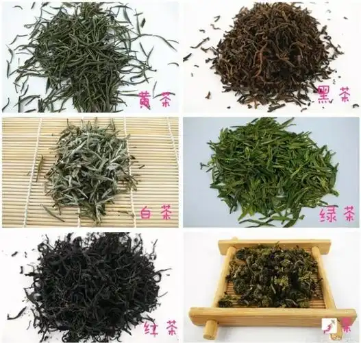 要闻中国人喝茶可谓历史悠久 从基础来讲,分为六大茶系 绿茶,红茶