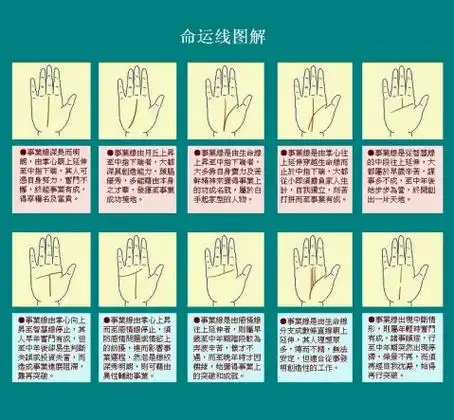 命运线,事业线,玉柱线图解 - 南歌走天下 - 手相图解面相图解命运预测