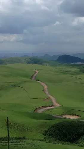 云南的高山草甸