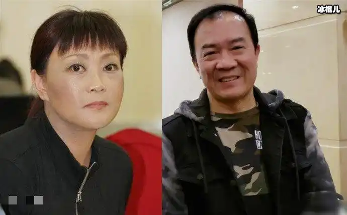 戴志诚为啥与杨蕾离婚