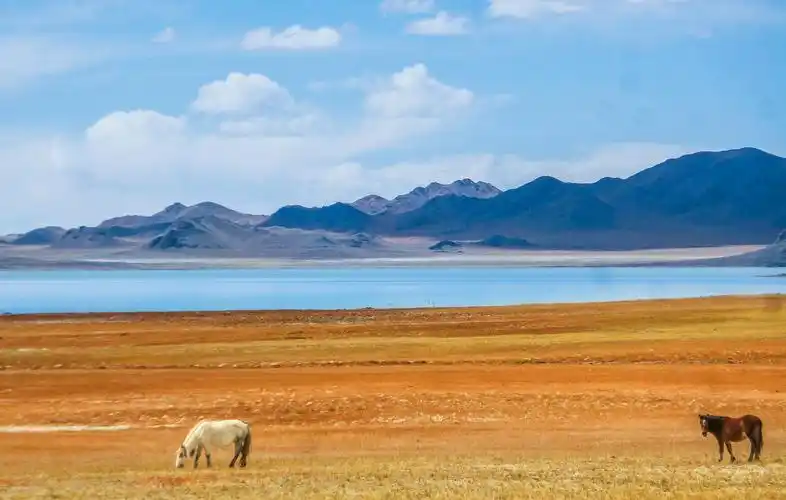 中国第一大无人区方圆百里见不到一人却有人定居原因是