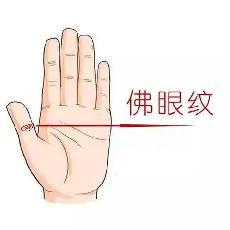 佛眼纹和凤眼纹都是手相的一种凤眼纹出现在大拇指的第一个关节处可以