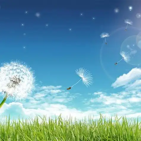 qq风景头像特别清晰唯美又清新养眼的景色