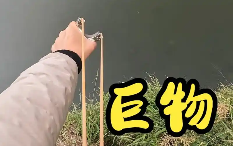 【袁桑弹弓】五六十斤大鲤鱼一条太牛逼了666弹弓射鱼就是这样好玩