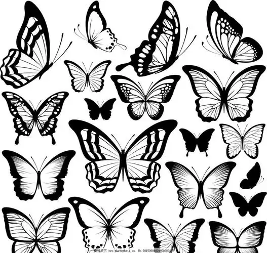 蝴蝶线稿 素材 黑白 线条