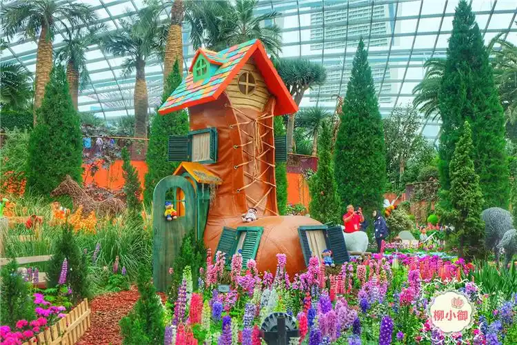 【新加坡】滨海湾花园误闯爱丽丝仙境