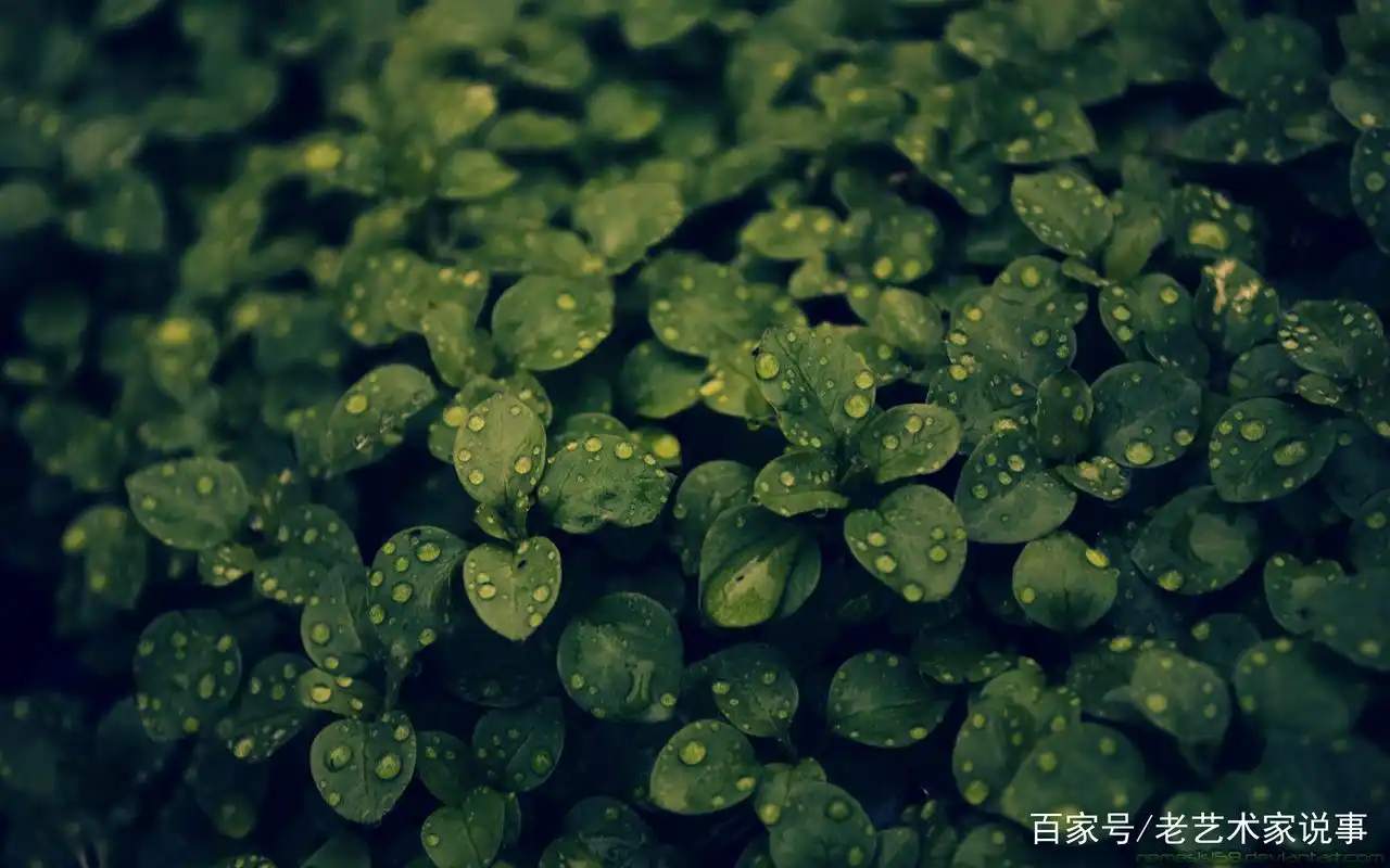 喜欢绿色的人,原来性格是这样的