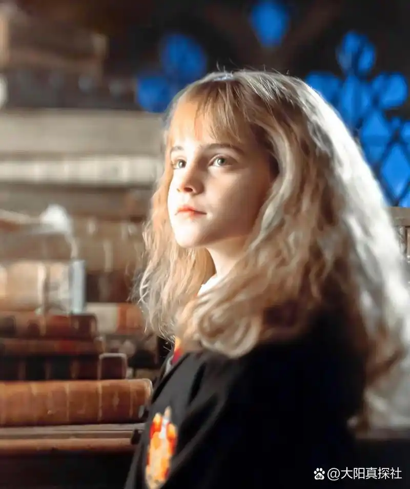 哈利波特人物简介 赫敏·格兰杰 今天是学霸赫敏滴,三小只都更完啦,还