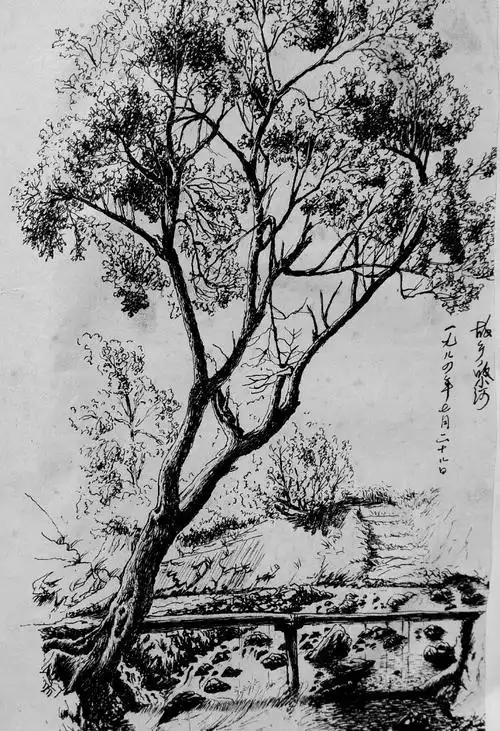 灵性山水 感悟自然, 一杨再平钢笔风景画欣赏