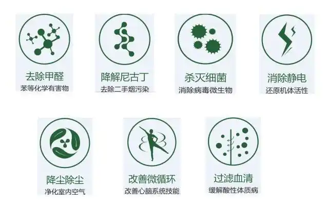 你不可不知的负氧离子常识